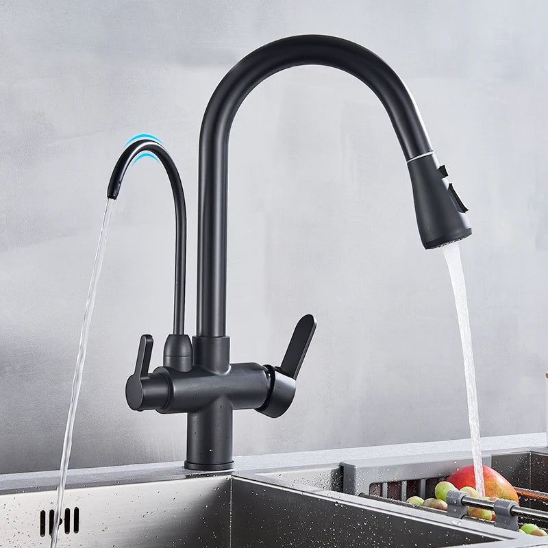 Black 360° Rotating Kitchen Faucet | 3-Way Filter Mixer with Pull-Out Sprayer